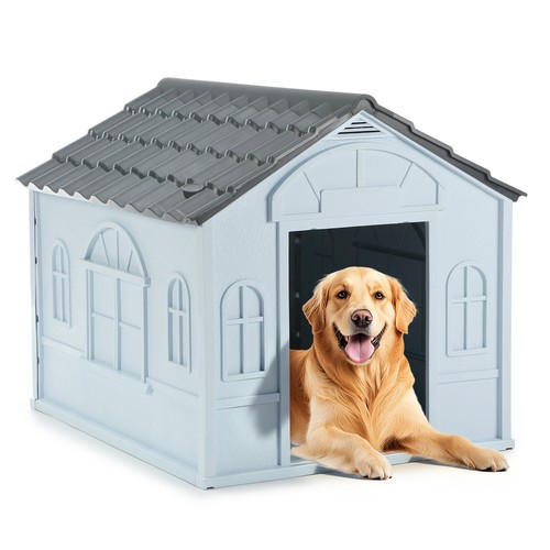 Large outdoor dog - large, grey
