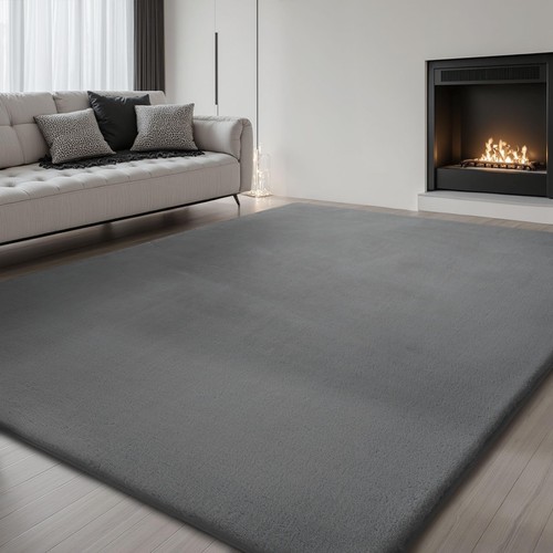 Rugs living room - grey, area