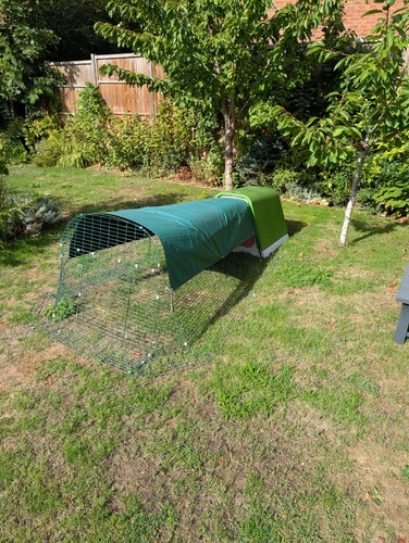 Omlet eglu chicken coop - omlet,