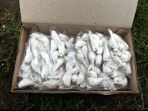 Joblot 120 white feathered - of,