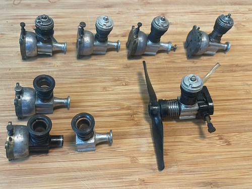 Cox baby bee - bee.049, lot