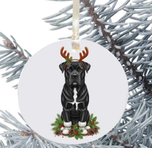 Staffordshire bull terrier - staffordshire,