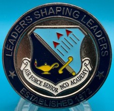 USAF Air Force Senior NCO