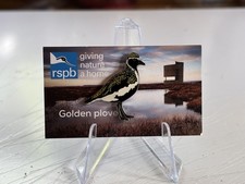 RSPB GOLDEN PLOVER Reserve  Special Backing Card. Enamel Pin Badge Bird wading 