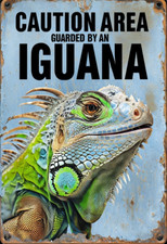 Caution Area Guarded By An Iguana metal sign, Iguana sign, Iguana plaque