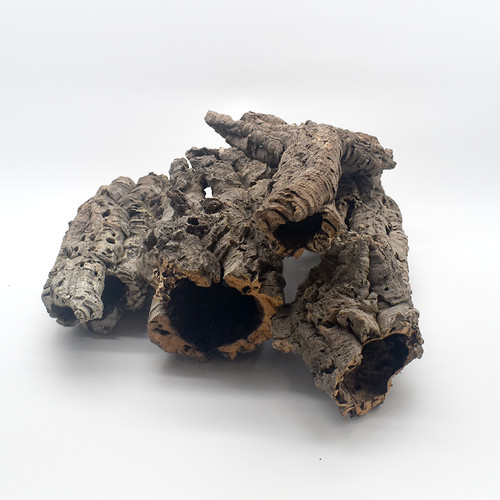 The spider shop 1kg - spider, bark
