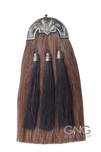 Brown horse hair thistle - ,