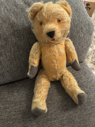 Vintage 1950s pedigree teddy - 1950s,