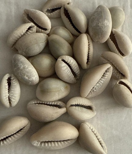Original natural cowries owo - cowries, -owo