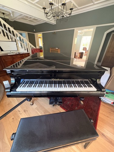 Grand piano 1880 bluthner - grand,