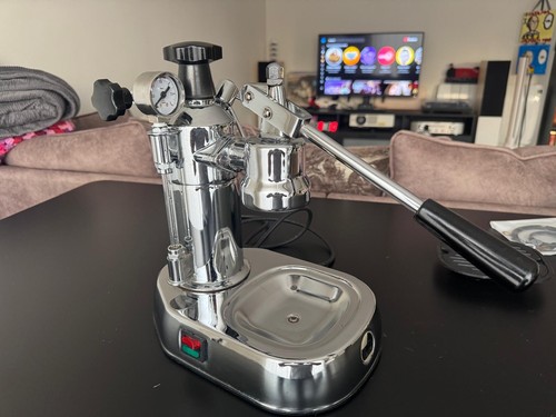 Pavoni europiccola - la,