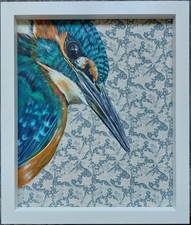 Original Kingfisher picture