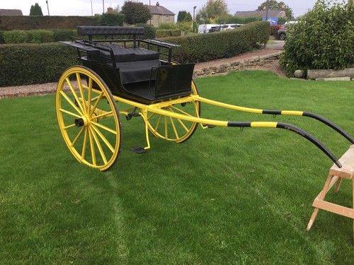 Horse cart exercise - horse,