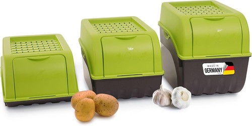Green potato storage - potato,