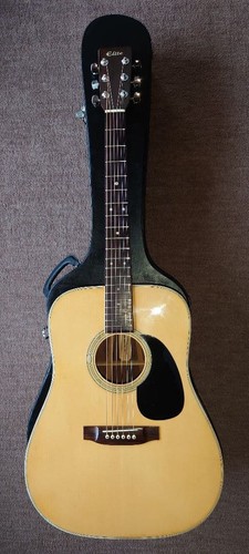 Takamine elite vintage - tw-30,