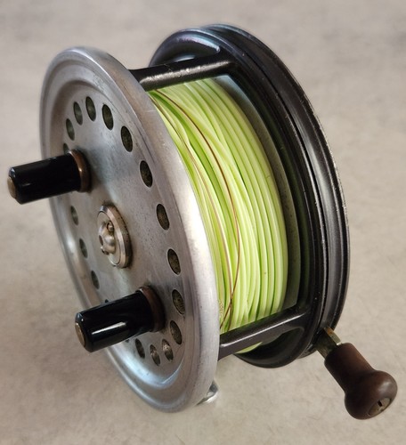 Hardy silex superba - 4", vintage