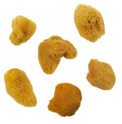 Artist ocean silk sponge - ocean, set