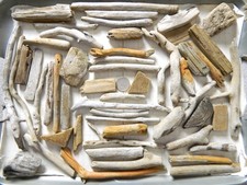 50 Driftwood Pieces For Arts
