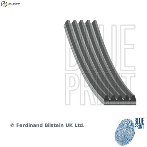 Vribbed belt ad05r970 for - vribbed,