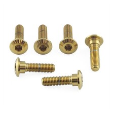 Stainless Steel Disc Bolts