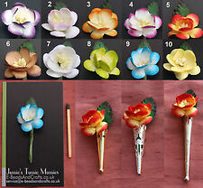 1 CHERRY BLOSSOM: Tussie