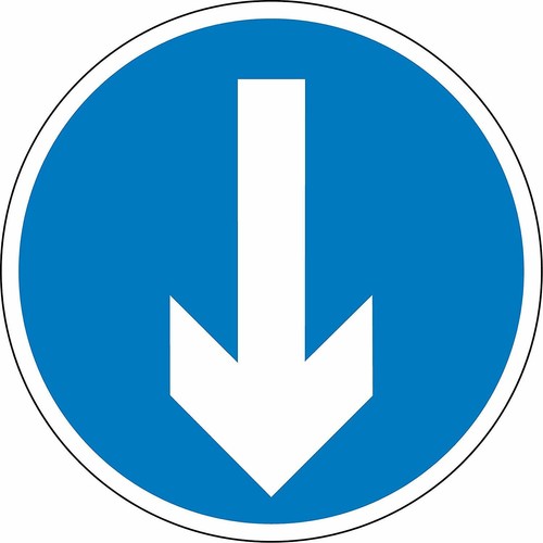 Road traffic directional