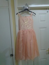 Fairy costume pantomime