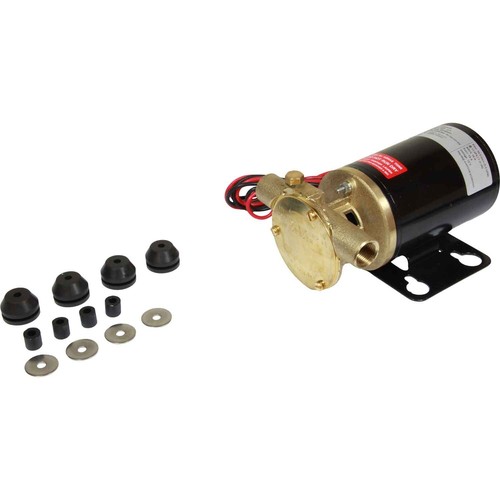 Johnson electric pump
