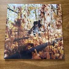 Billy Woods Golliwog Vinyl LP