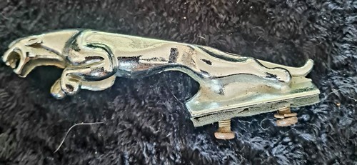 Vintage leaping jaguar - jaguar, car