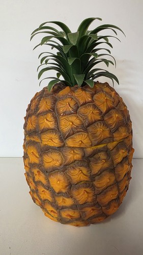Retro vintage pineapple ice - retro,