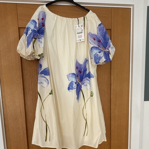 Zara ivory blue - ivory,