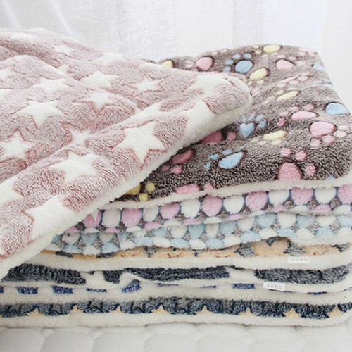 Puppy pet home blanket cat - blanket,