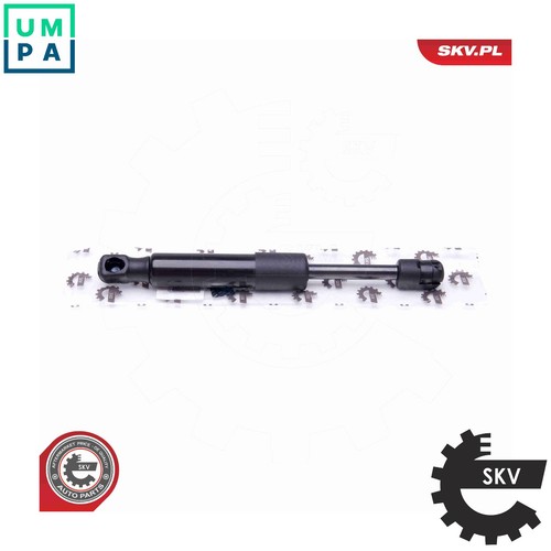 Gas spring bootcargo area - gas,