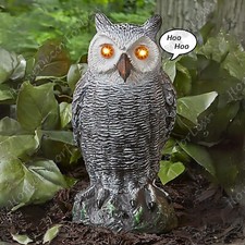 Motion Activated Light & Sound Hooting OWL Garden Statue Outdoor Pest Deterent