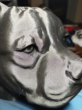 STAFFORDSHIRE BULL TERRIER