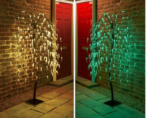 5ft weeping willow - 5ft, with