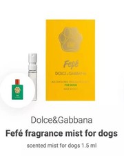 Dolce&Gabbana fefè Designer