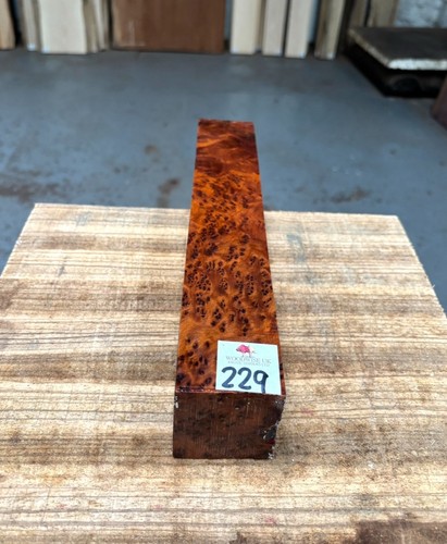 Thuya burr x 12 - 2, /
