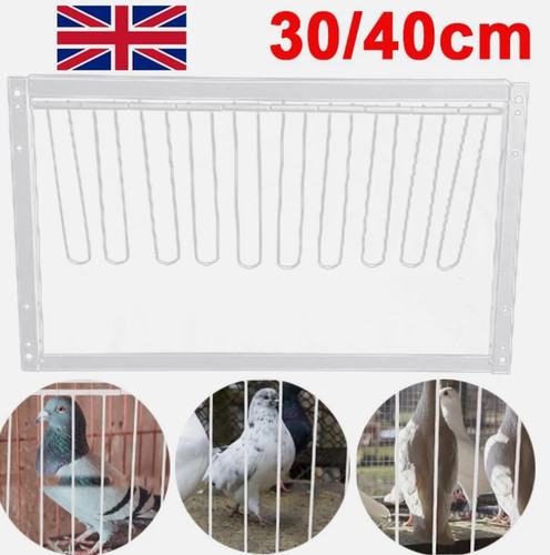 Removable pigeon entrance door - pigeon,