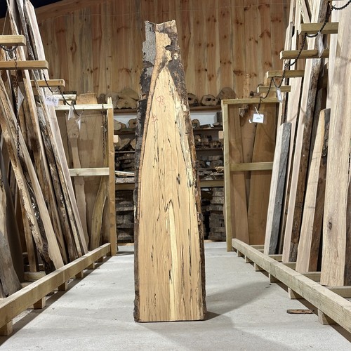 Spalted beech plank board - beech,