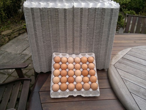 Egg trays grey 100 - trays,