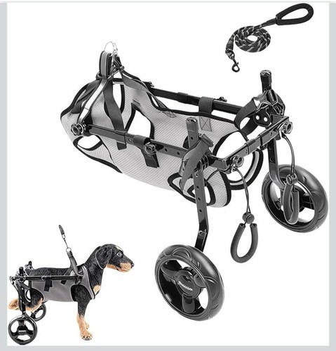 Dog wheelchair for - for, back