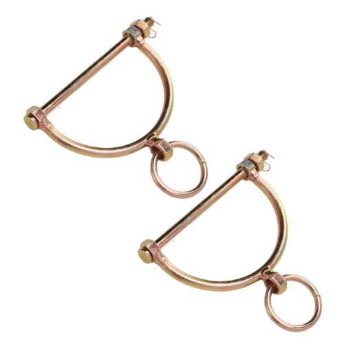 Cow nose rings - 2x,