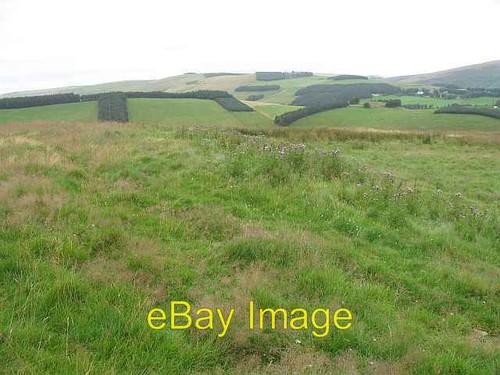 Photo 6x4 field - photo, brockhouse