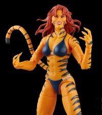 Hasbro Marvel Legends Figure -