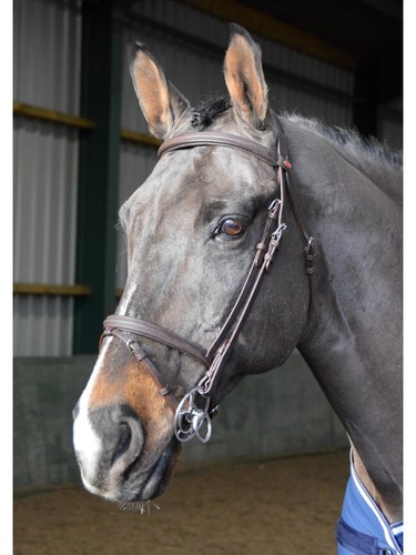 John whitaker ready ride - whitaker, to