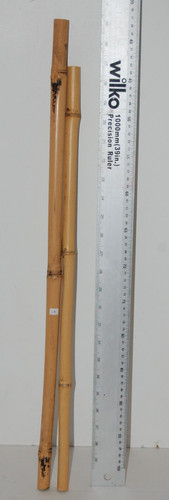 Bamboo poles reptiles craft - poles,, reptiles,