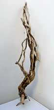 Twisted  Driftwood Piece ideal