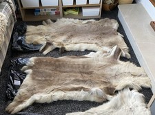 REAL Reindeer Hide Skin